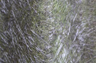 Great Eccleston fibreglass roof work